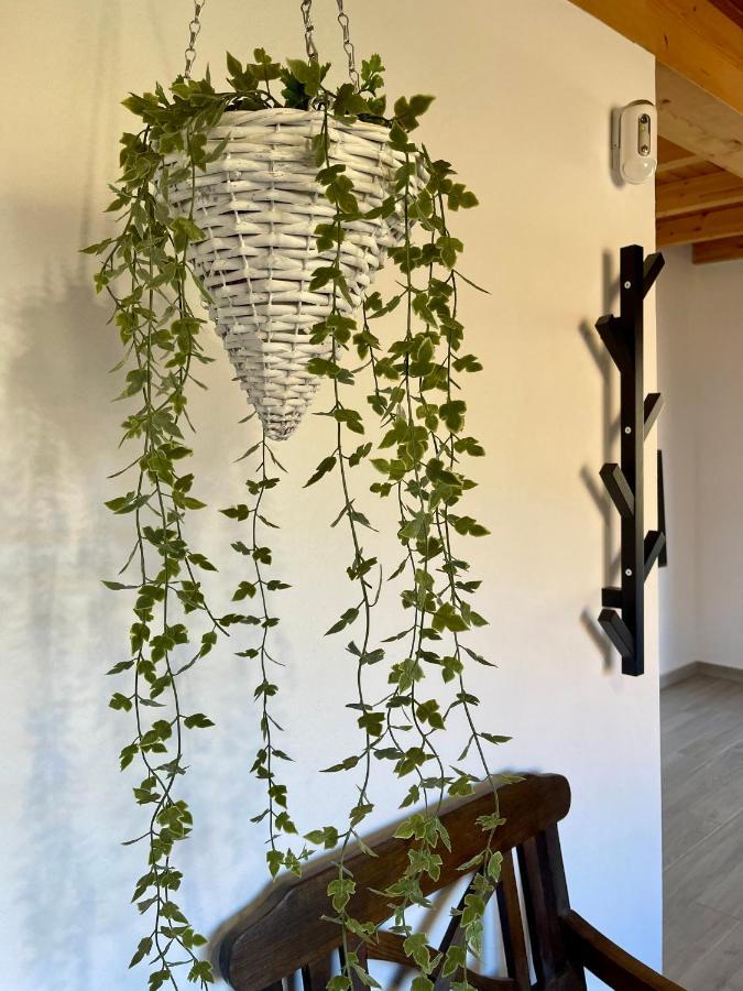 BetancuríaLa Casita De La Eraアパートメント エクステリア 写真